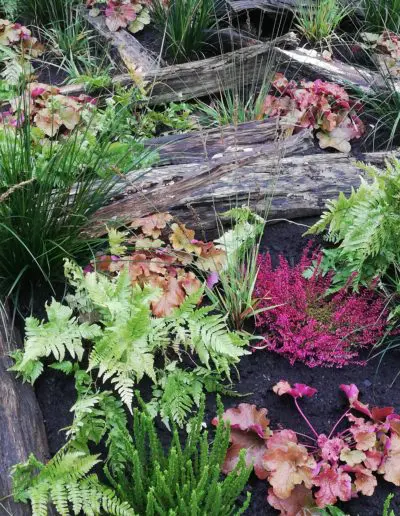Bepflanzung mit Blattschmuck und Pink