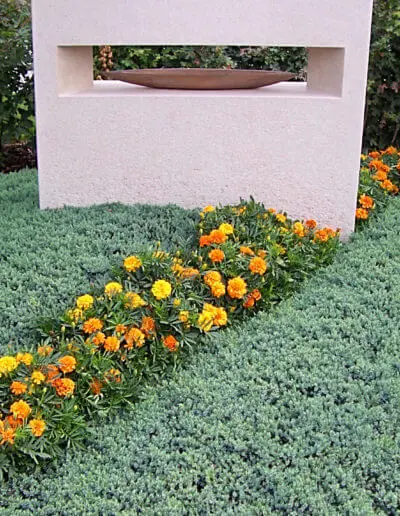 Grab Mit Studentenblumen