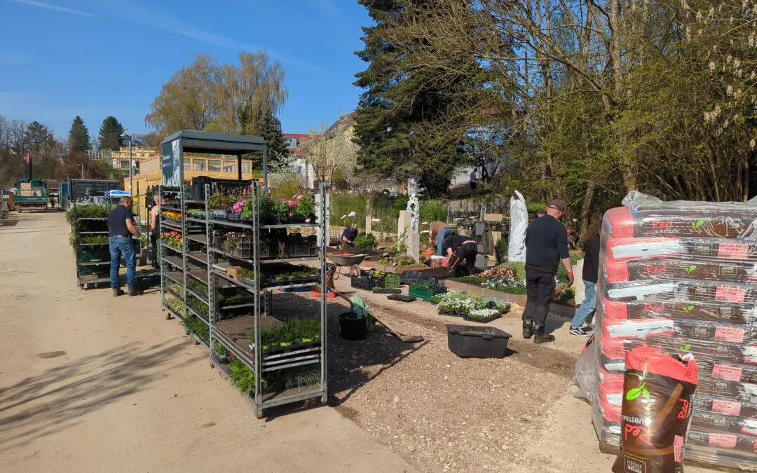 LGS Making-Of: Viele Hände für den Erinnerungsgarten