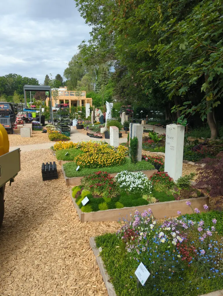 LGS Sommerflor bei der Umpflanzung