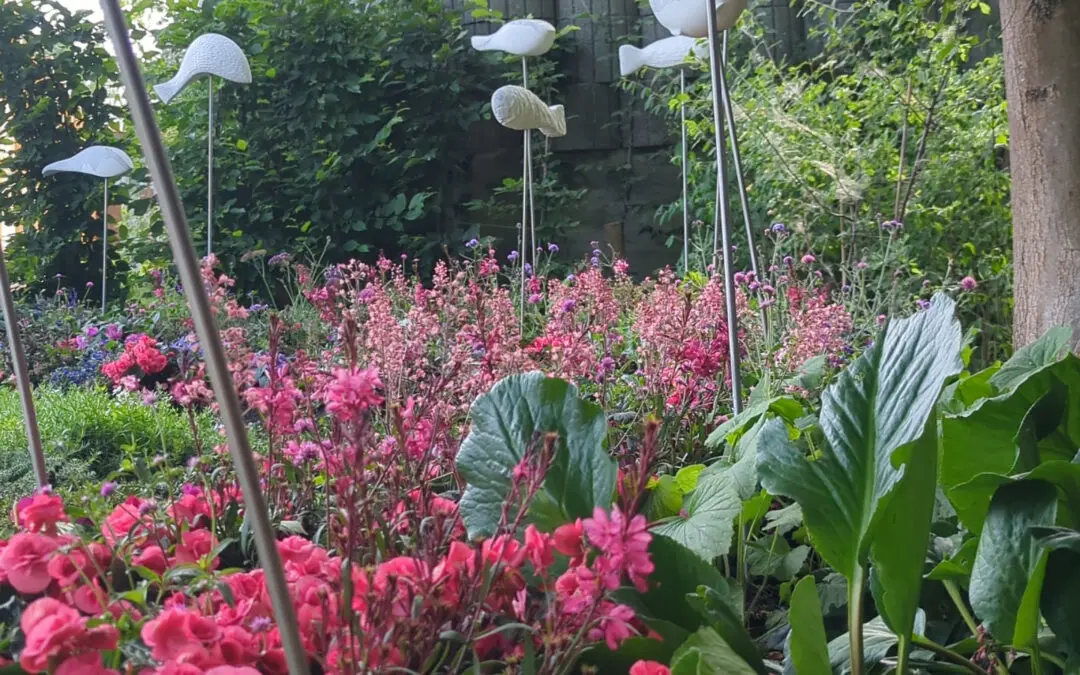Sommerzauber auf der LGS26: Unser großes Umpflanzen im Erinnerungsgarten