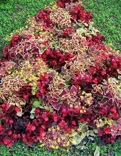 Rot Gruenes Farbspiel