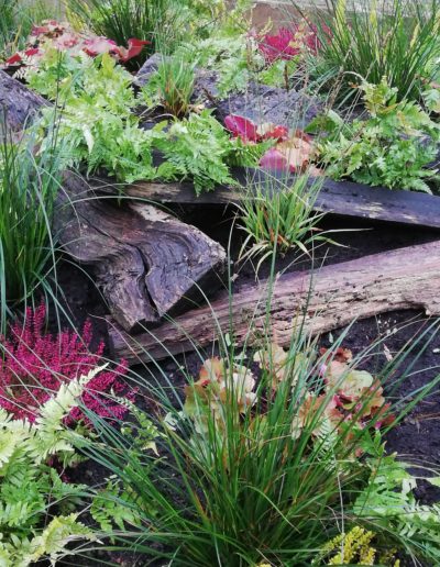 Bepflanzung mit Blattschmuck und Pink